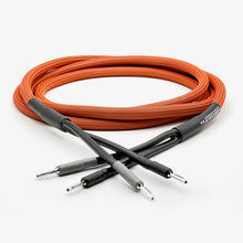 Load image into Gallery viewer, Purecable Prime Speaker Cable 3 Meters - Rhodium Banana to Banana (Made in the Netherlands)
