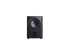 Load image into Gallery viewer, Perlisten R210S 2x 10&quot; Push Pull Subwoofer 1500w (THX Certified)
