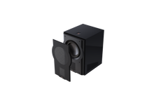 Load image into Gallery viewer, Perlisten R210S 2x 10&quot; Push Pull Subwoofer 1500w (THX Certified)

