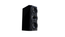 Load image into Gallery viewer, Perlisten R5m Monitor Speaker (THX Certified Ultra)
